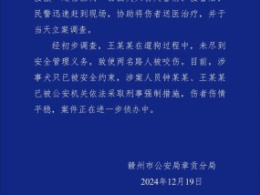 江西赣州警方通报“母女逛公园遭四条大型犬撕咬”：涉案2人被采取刑事强制措施|界面新闻 · 快讯